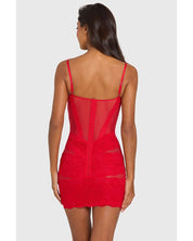 Placed Lace-Trim Sheer Mesh Mini Dress | Women's Red Lace Overlay