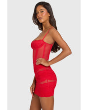 Placed Lace-Trim Sheer Mesh Mini Dress | Women's Red Lace Overlay